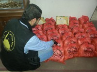 /album/galerie/a10368191-1629193030633916-756594518589128355-n-jpg/